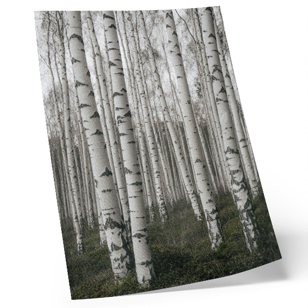Impression sur toile Forêt de bouleaux en tons noirs et blancs