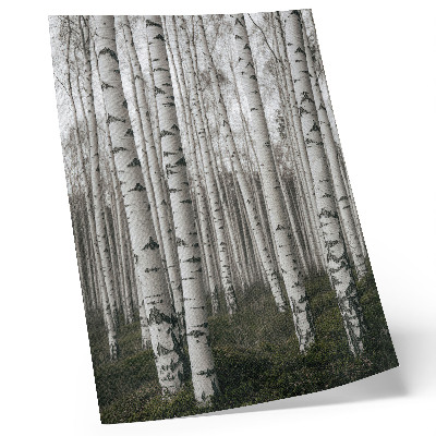 Impression sur toile Forêt de bouleaux en tons noirs et blancs