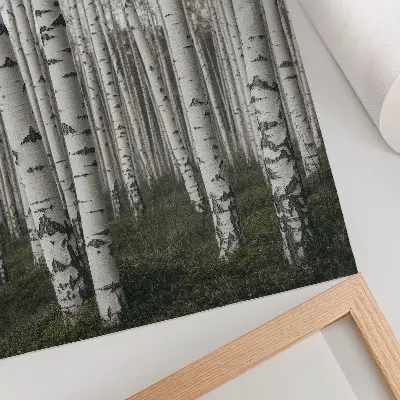 Impression sur toile forêt de bouleaux en noir et blanc