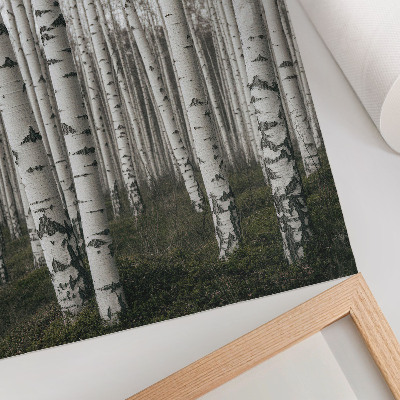 Impression sur toile Forêt de bouleaux en tons noirs et blancs