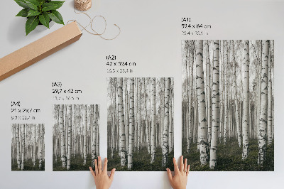 Impression sur toile Forêt de bouleaux en tons noirs et blancs