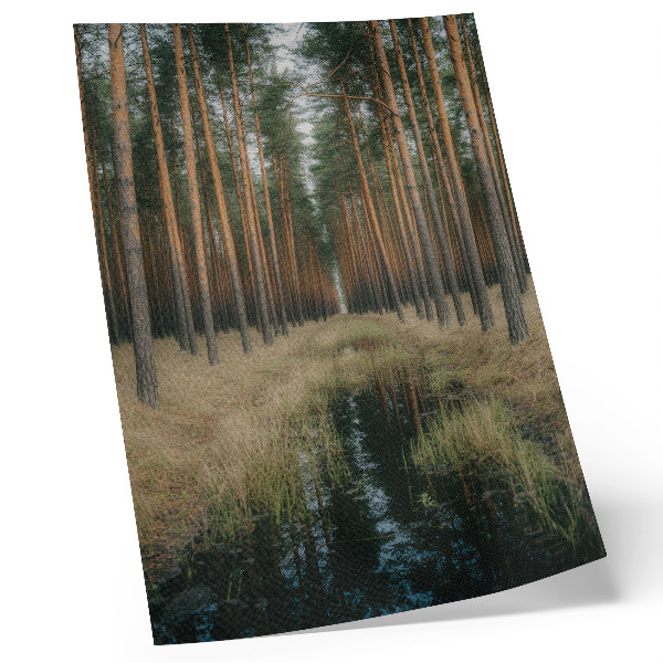 Impression sur toile Paysage forestier simple, haute forêt, symétrie