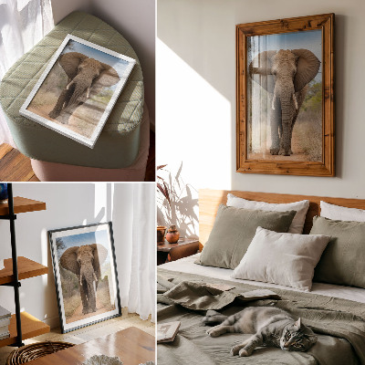 Affiche décorative Éléphant sur un sentier dans un paysage africain