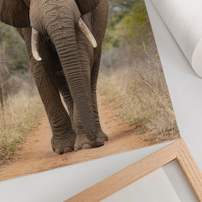 Affiche décorative Éléphant sur un sentier dans un paysage africain
