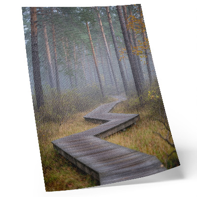 Affiche décorative Un sentier de bois au milieu des arbres dans le brouillard