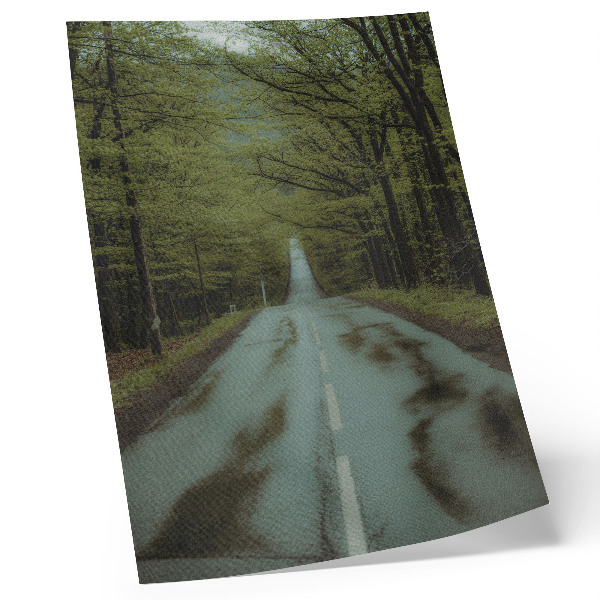 Impression sur toile Chemin forestier, paix, aventure verte, mystère