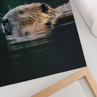 Affiche décorative castor dans l'eau inspirant la nature paisible et sauvage