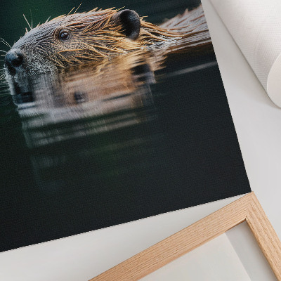 Affiche décorative Castor dans l'eau, nature paisible, nature sauvage