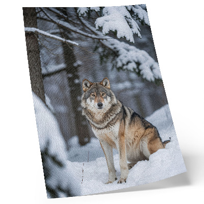 Impression sur toile Loup dans la forêt hivernale, nature, silence, élégance