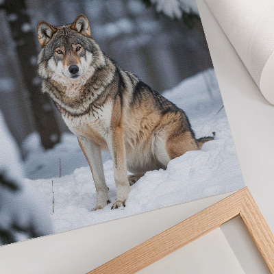 Impression sur toile Loup dans la forêt hivernale, nature, silence, élégance