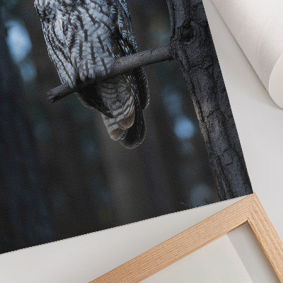 Décoration murale La chouette des forêts sombres sous les projecteurs