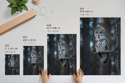 Décoration murale La chouette des forêts sombres sous les projecteurs
