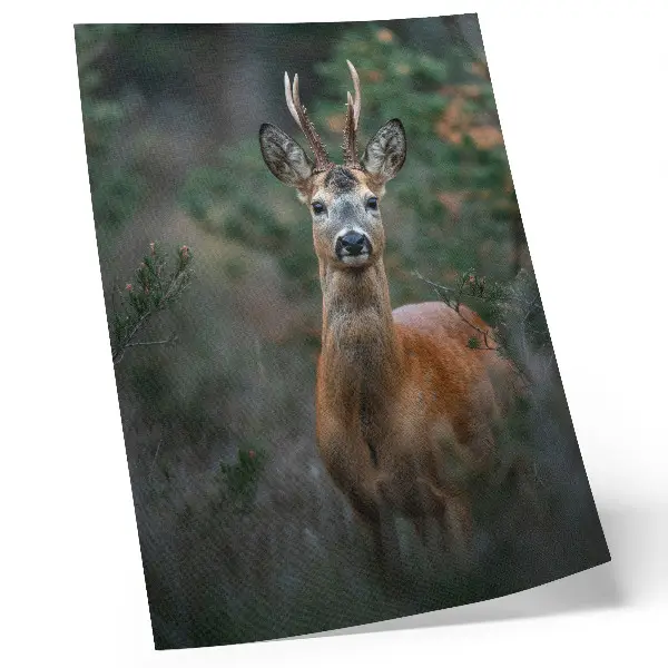 Décoration murale cerfs dans la forêt sur fond vert représentant la paix et la nature