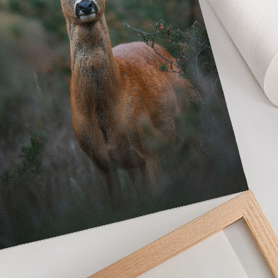 Décoration murale Cerfs dans la forêt, fond vert, paix et nature