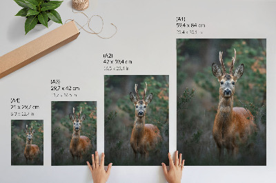 Décoration murale Cerfs dans la forêt, fond vert, paix et nature