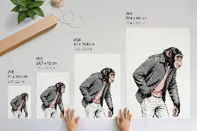 Affiche décorative chimpanzé stylé vêtu d'une veste à motif contrasté