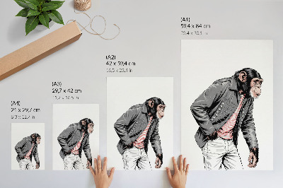 Affiche décorative Un chimpanzé stylé dans une veste à motif contrasté