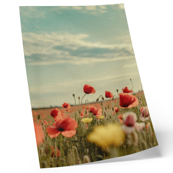 Décoration murale Un champ de coquelicots sous un ciel bleu, une élégance pastel