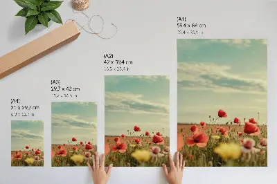 Décoration murale représentant un champ de coquelicots sous un ciel bleu dans un style élégant pastel