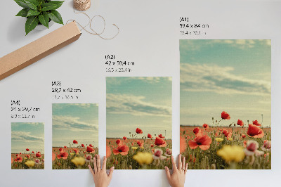 Décoration murale Un champ de coquelicots sous un ciel bleu, une élégance pastel