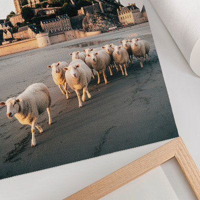 Décoration murale Château, colline, moutons, sable, atmosphère paisible