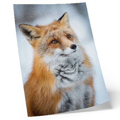 Impression sur toile Portrait d'un renard joyeux dans un décor hivernal