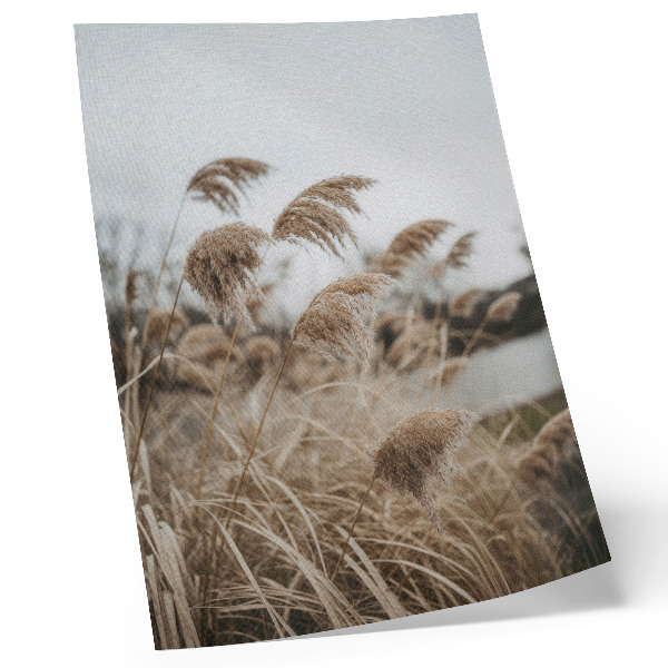 Impression sur toile Des brins d'herbe délicats, une atmosphère brune et grise de la nature