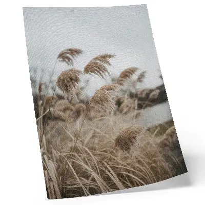 Impression sur toile représentant des brins d'herbe délicats dans une atmosphère naturelle aux tons brun et gris