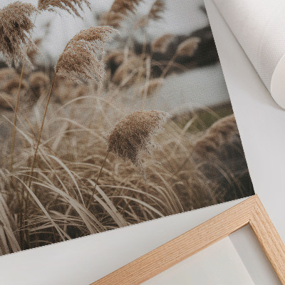Impression sur toile Des brins d'herbe délicats, une atmosphère brune et grise de la nature