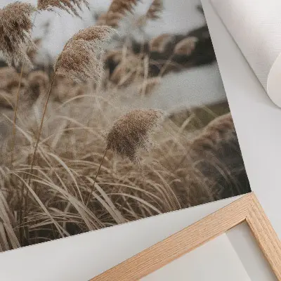 Impression sur toile représentant des brins d'herbe délicats dans une atmosphère naturelle aux tons brun et gris