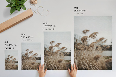 Impression sur toile Des brins d'herbe délicats, une atmosphère brune et grise de la nature