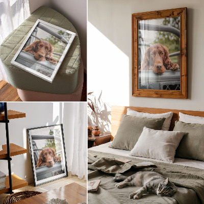 Affiche décorative Chien brun près du véhicule, arbres verts