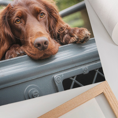 Affiche décorative Chien brun près du véhicule, arbres verts