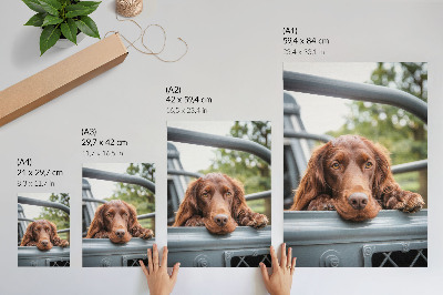 Affiche décorative Chien brun près du véhicule, arbres verts
