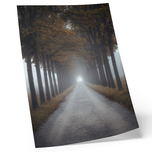 Affiche décorative composition symétrique et harmonieuse du brouillard d'une ruelle d'automne