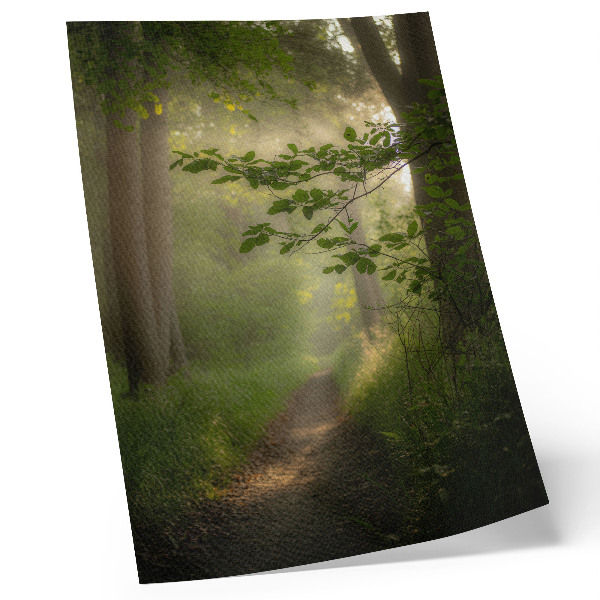 Décoration murale Feuilles vertes, rayon de lumière, chemin forestier
