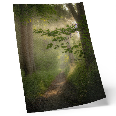 Décoration murale Feuilles vertes, rayon de lumière, chemin forestier