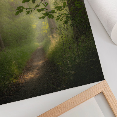 Décoration murale Feuilles vertes, rayon de lumière, chemin forestier