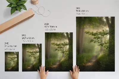 Décoration murale feuilles vertes avec rayon de lumière sur un chemin forestier