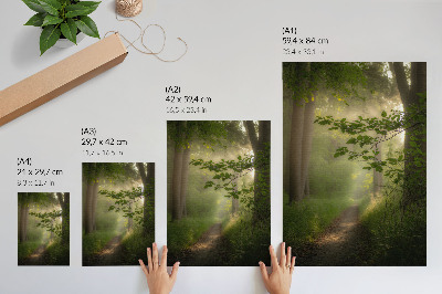 Décoration murale Feuilles vertes, rayon de lumière, chemin forestier