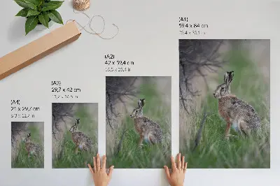 Affiche décorative représentant un lièvre dans l'herbe au milieu de branches et de verdure