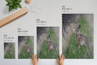 Affiche décorative Un lièvre dans l'herbe, entouré de branches et de verdure.