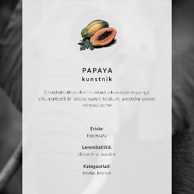 Affiche décorative Un lièvre dans l'herbe, entouré de branches et de verdure.