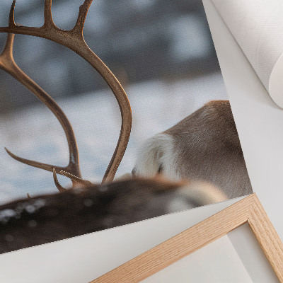 Impression sur toile Renne à bois dans un paysage hivernal harmonieux