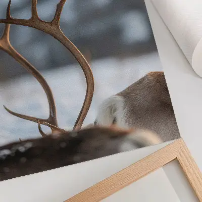 Impression sur toile renne des bois dans un paysage hivernal harmonieux
