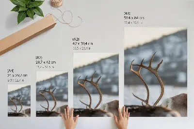 Impression sur toile renne des bois dans un paysage hivernal harmonieux
