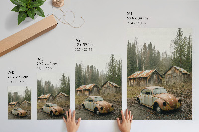Décoration murale Voiture rouillée, abri en bois, forêt verte