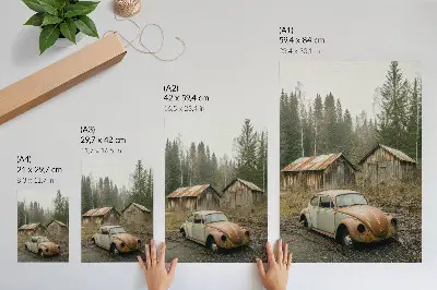 Décoration murale voiture rouillée dans un abri en bois en forêt