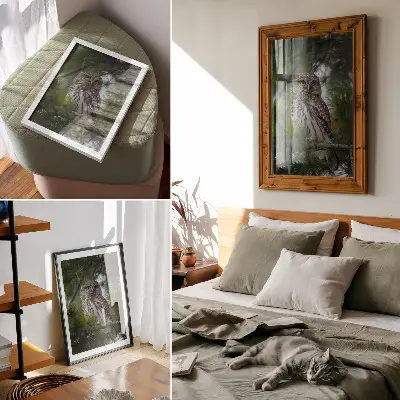 Affiche décorative hibou sur une branche de pin représentant la nature, la paix et l'harmonie