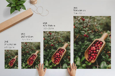 Impression sur toile Couleurs éclatantes des feuilles et des fruits dans une pelle en bois